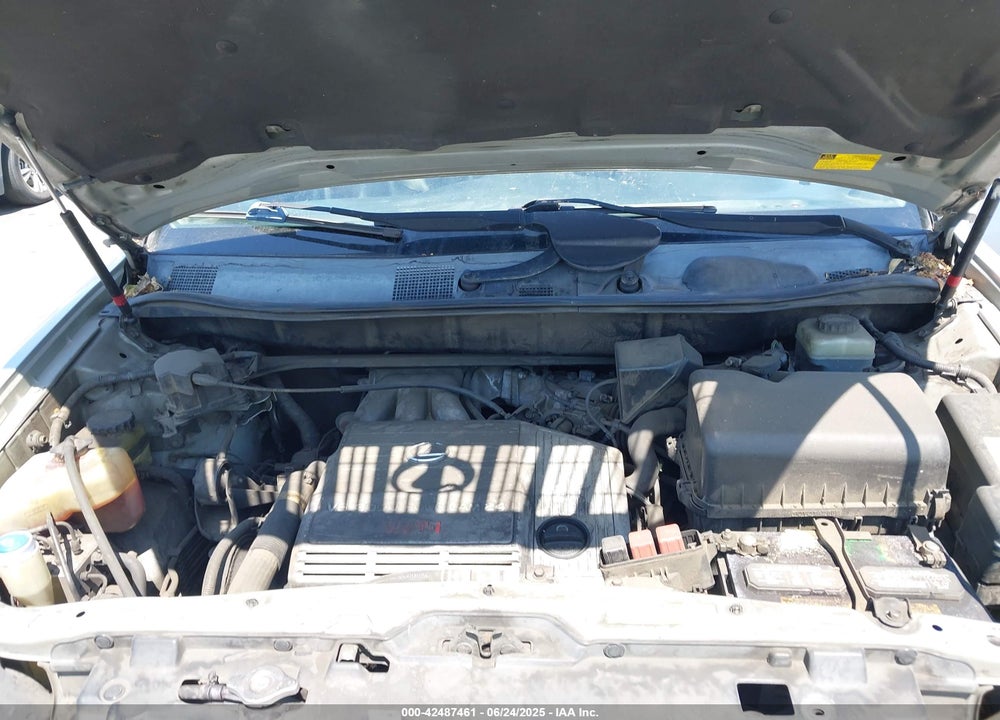 2001 LEXUS RX 300 VIN: JTJGF10U110087881