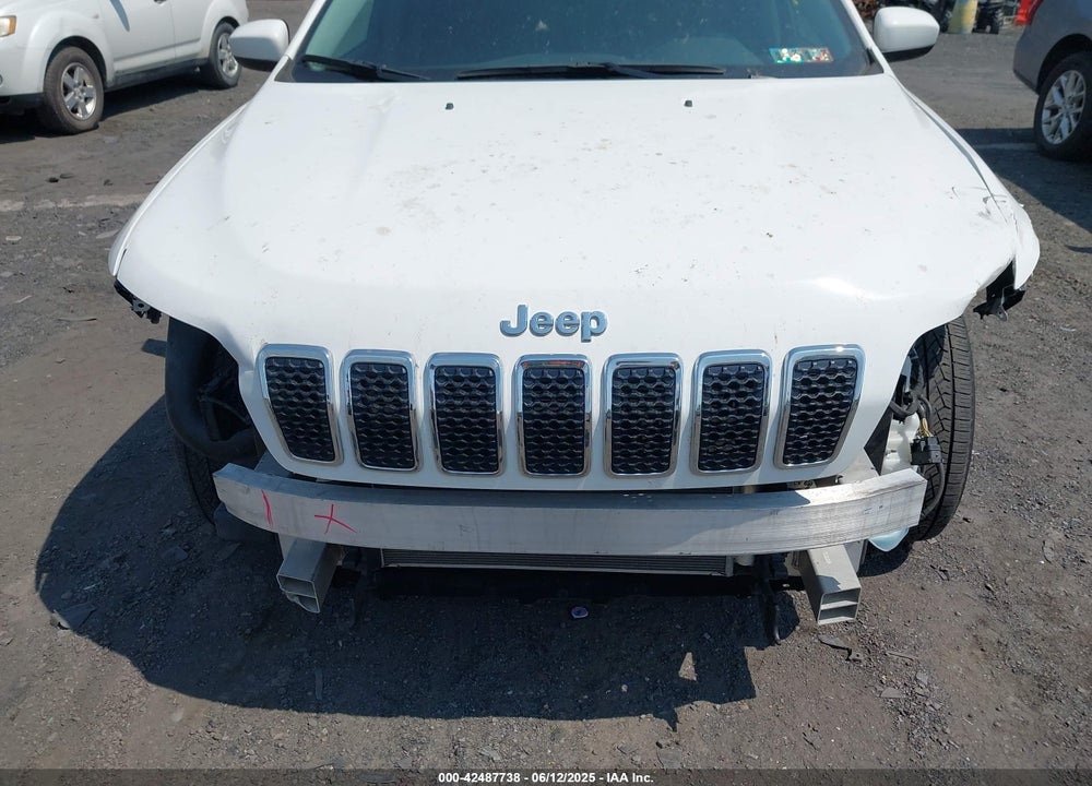 2019 JEEP CHEROKEE VIN: 1C4PJMCX9KD189948
