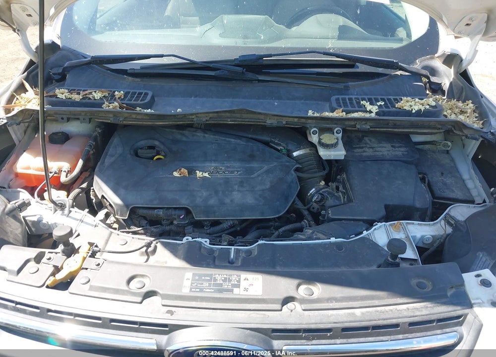 2014 FORD ESCAPE SE VIN: 1FMCU0GXXEUA77507