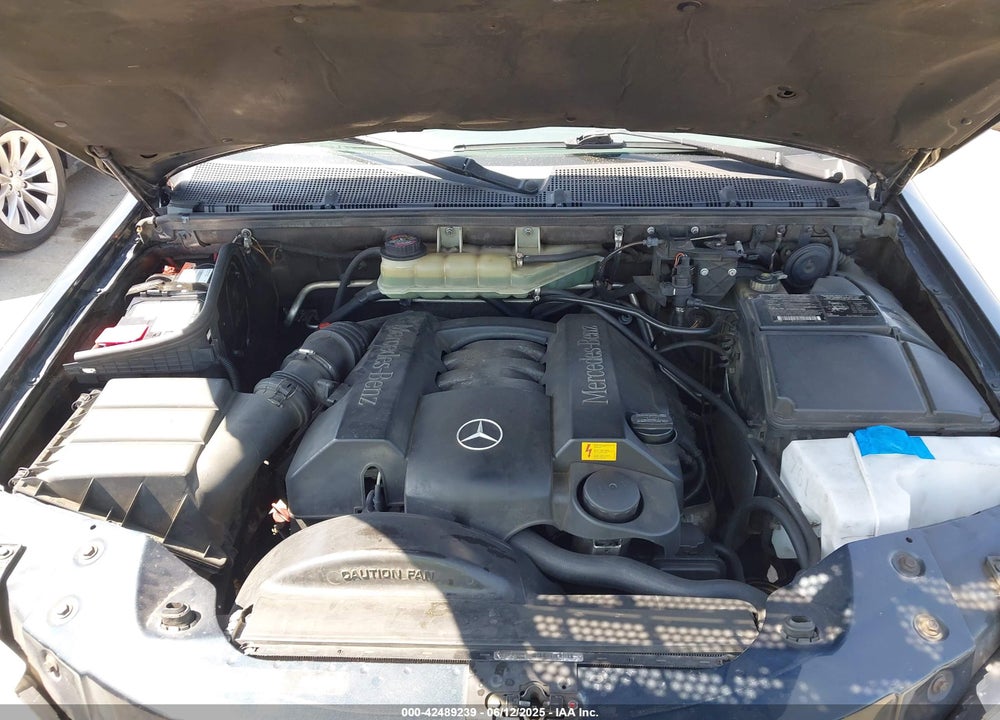 2002 MERCEDES-BENZ ML 320 VIN: 4JGAB54E22A338669