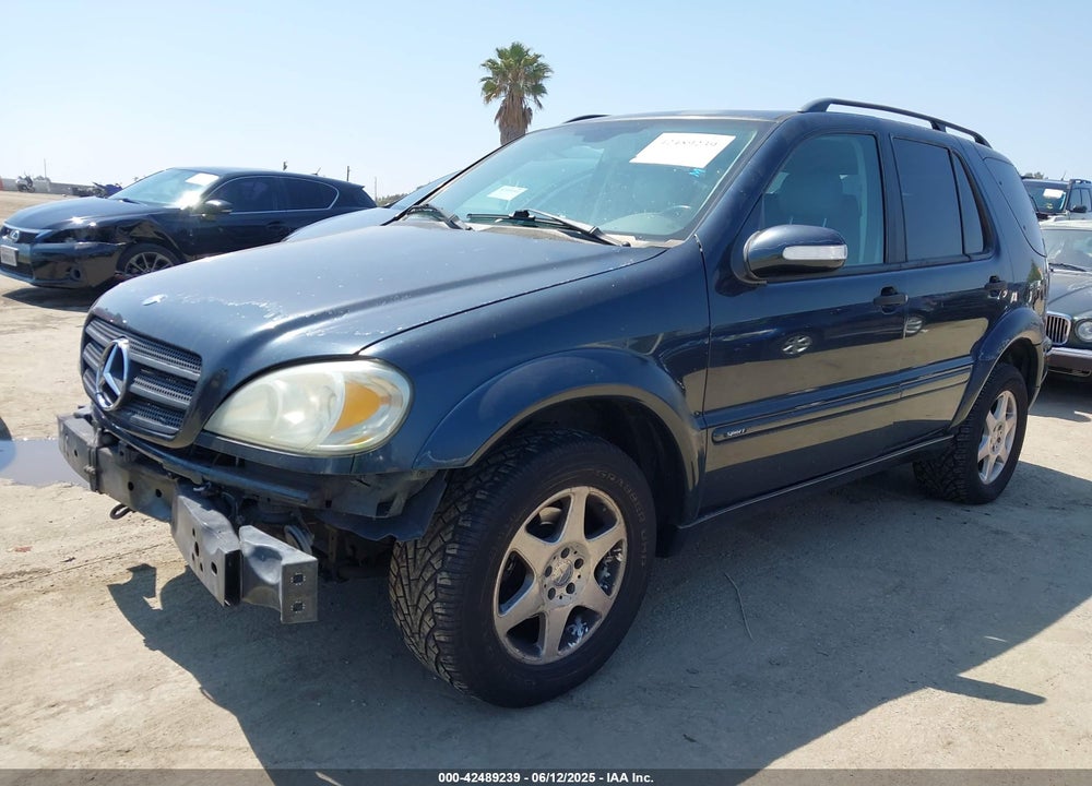2002 MERCEDES-BENZ ML 320 VIN: 4JGAB54E22A338669
