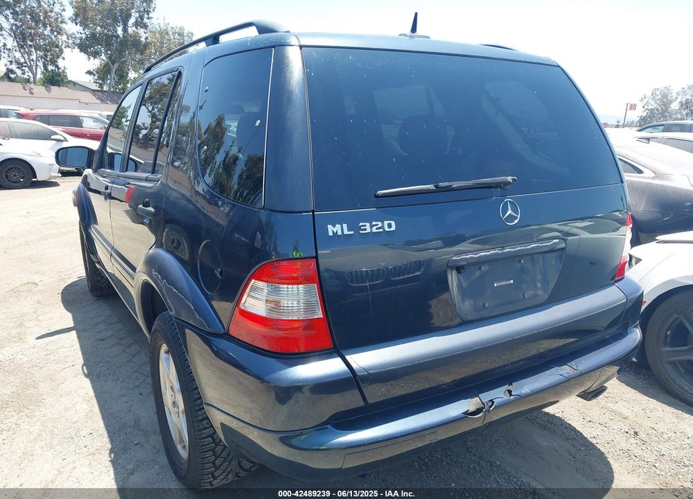 2002 MERCEDES-BENZ ML 320 VIN: 4JGAB54E22A338669