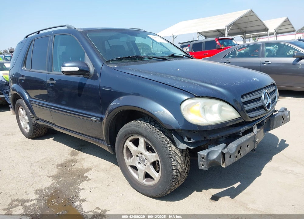 2002 MERCEDES-BENZ ML 320 VIN: 4JGAB54E22A338669