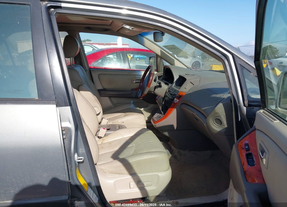 2002 LEXUS RX 300 VIN: JTJHF10U620236565