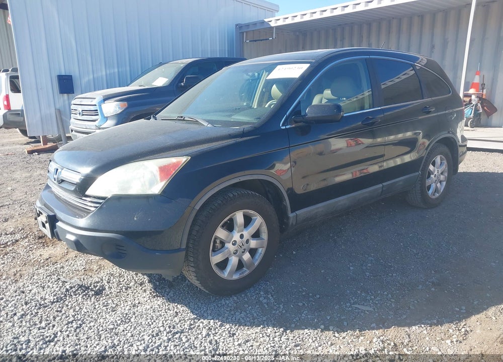 2009 HONDA CR-V EX-L VIN: 5J6RE38789L023284