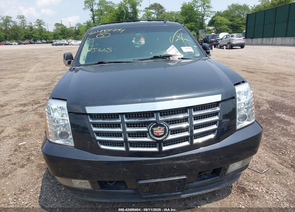 2010 CADILLAC ESCALADE VIN: 1GYUKBEF7AR264845