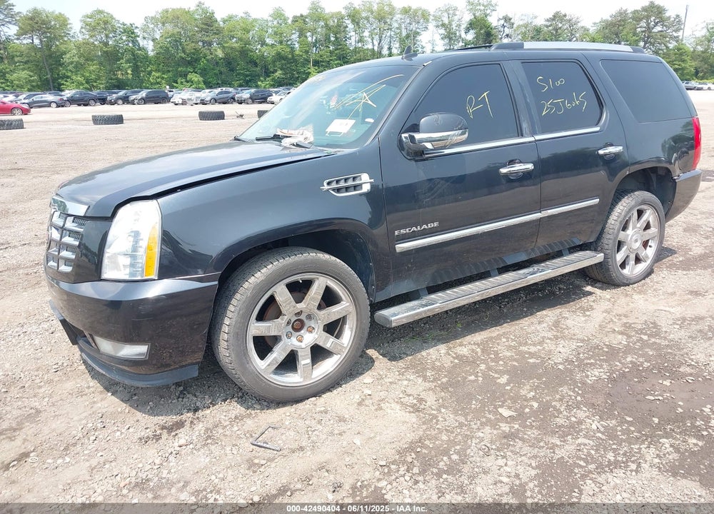 2010 CADILLAC ESCALADE VIN: 1GYUKBEF7AR264845