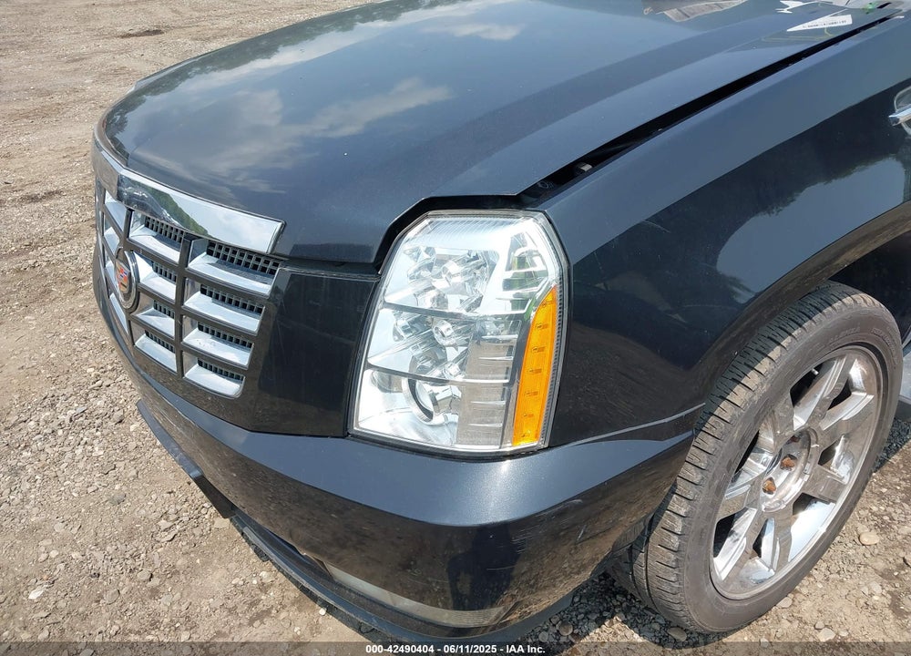 2010 CADILLAC ESCALADE VIN: 1GYUKBEF7AR264845