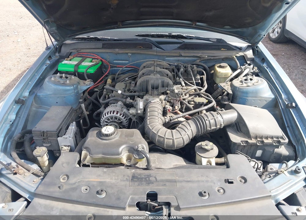 2006 FORD MUSTANG V6 VIN: 1ZVFT84NX65184801