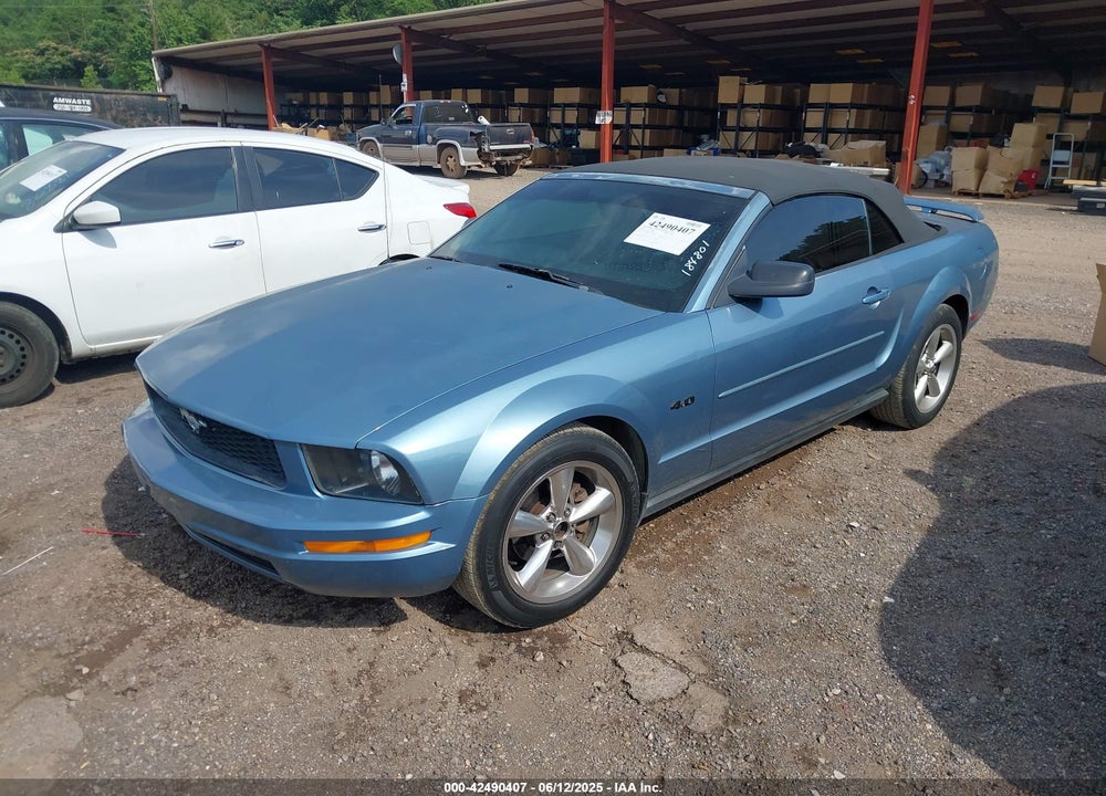 2006 FORD MUSTANG V6 VIN: 1ZVFT84NX65184801