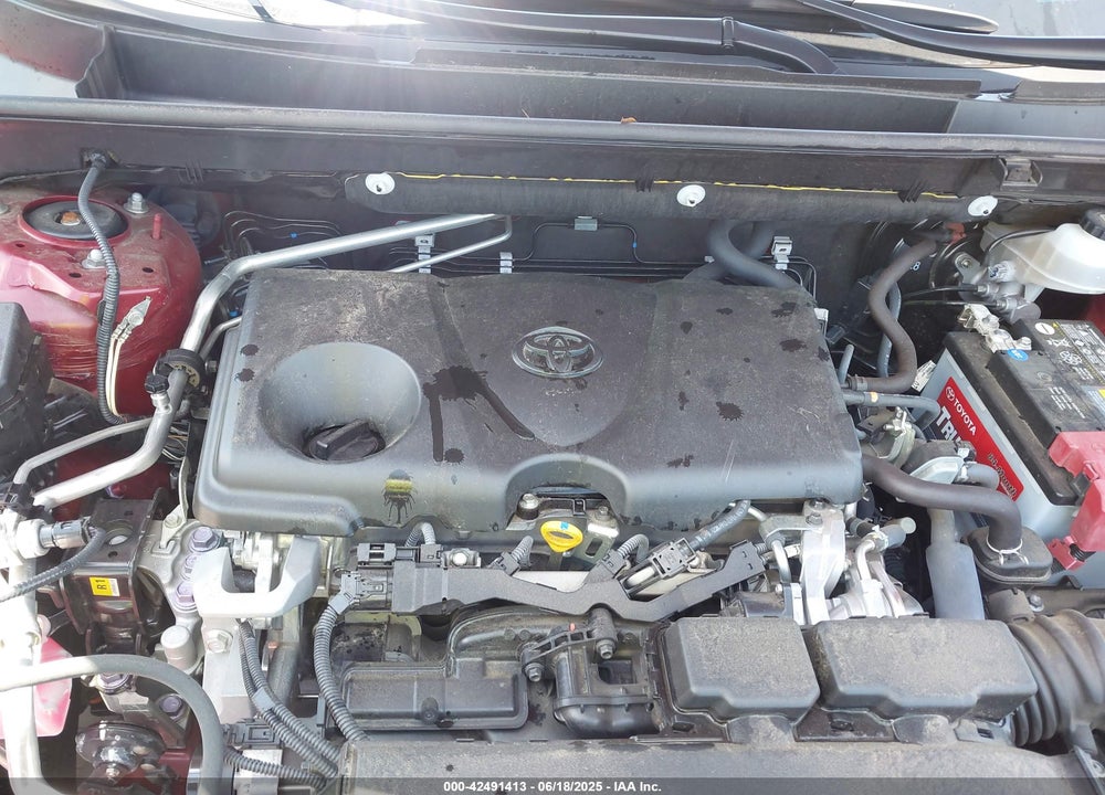 2019 TOYOTA RAV4 VIN: JTMY1RFV0KD003354