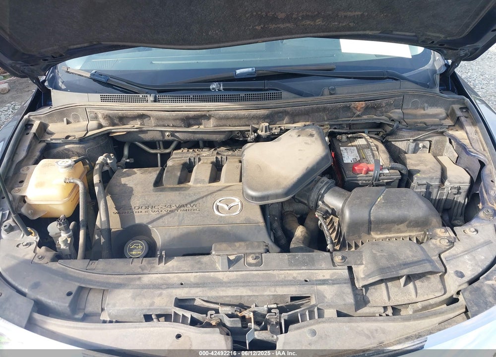 2010 MAZDA CX-9 VIN: JM3TB3MV7A0230514