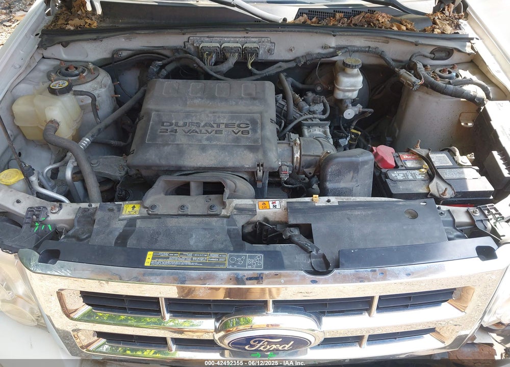 2010 FORD ESCAPE LIMITED VIN: 1FMCU9EG8AKC42841