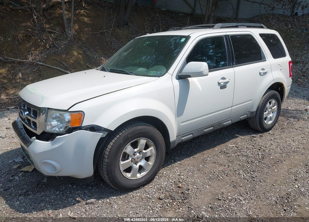 2010 FORD ESCAPE LIMITED VIN: 1FMCU9EG8AKC42841