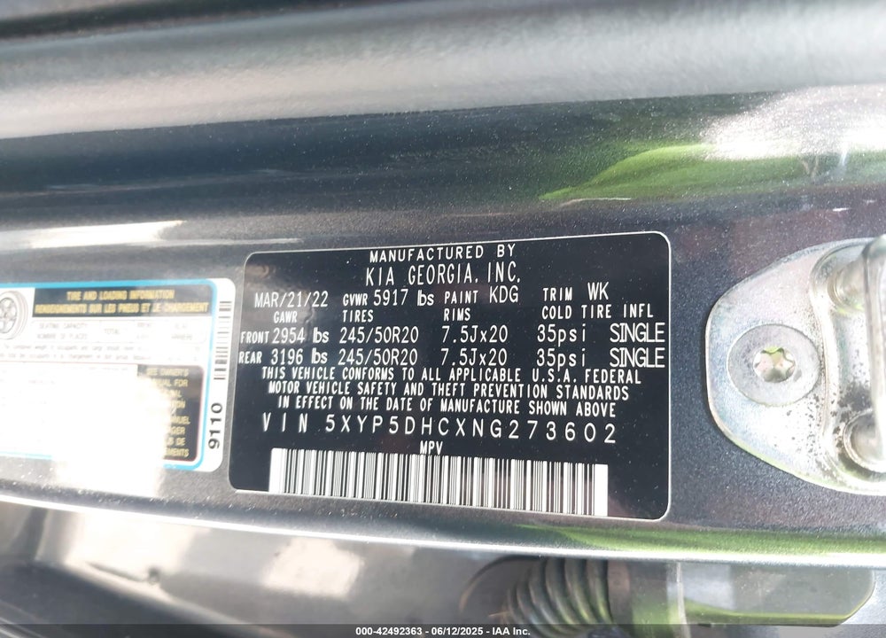 2022 KIA TELLURIDE VIN: 5XYP5DHCXNG273602