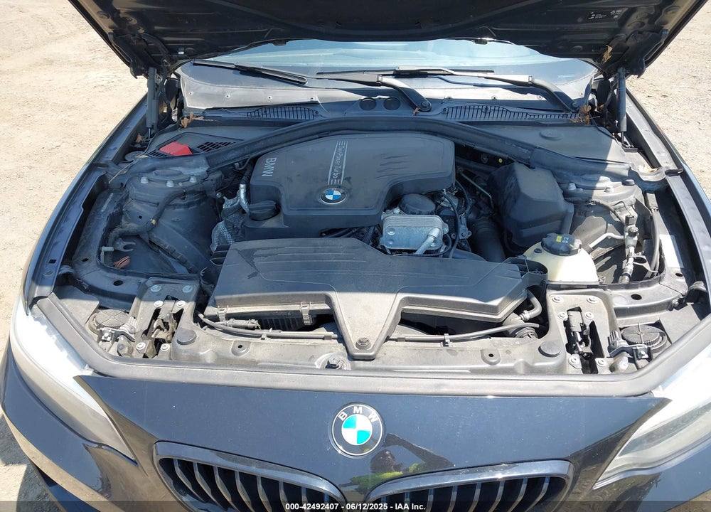 2016 BMW 2 SERIES VIN: WBA1G9C54GV599281