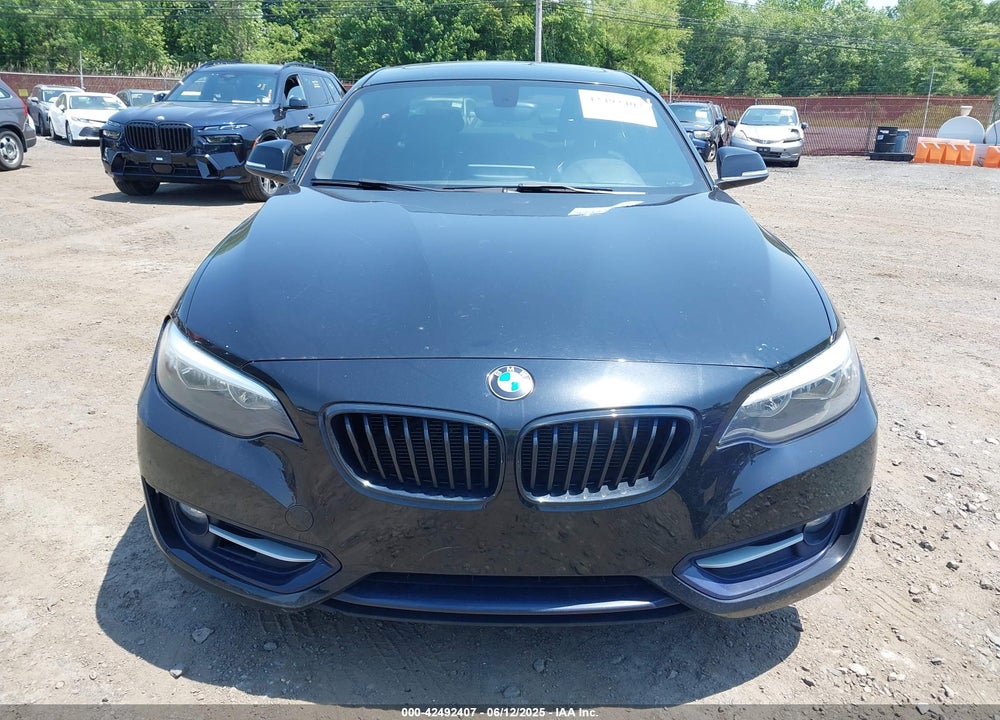 2016 BMW 2 SERIES VIN: WBA1G9C54GV599281