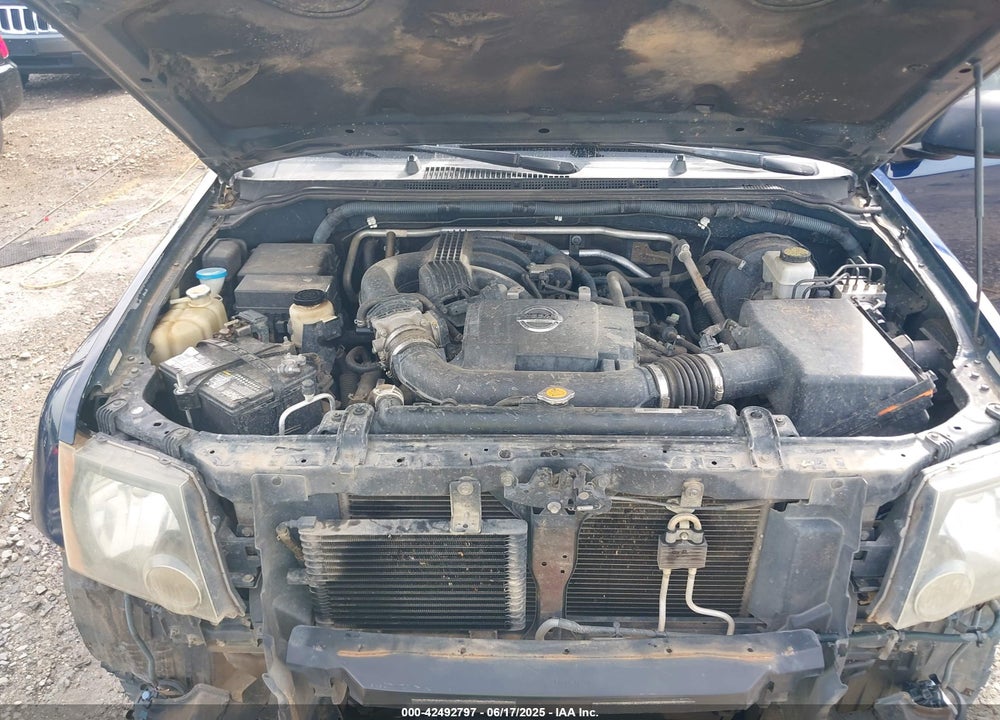 2010 NISSAN XTERRA VIN: 5N1AN0NW1AC504846