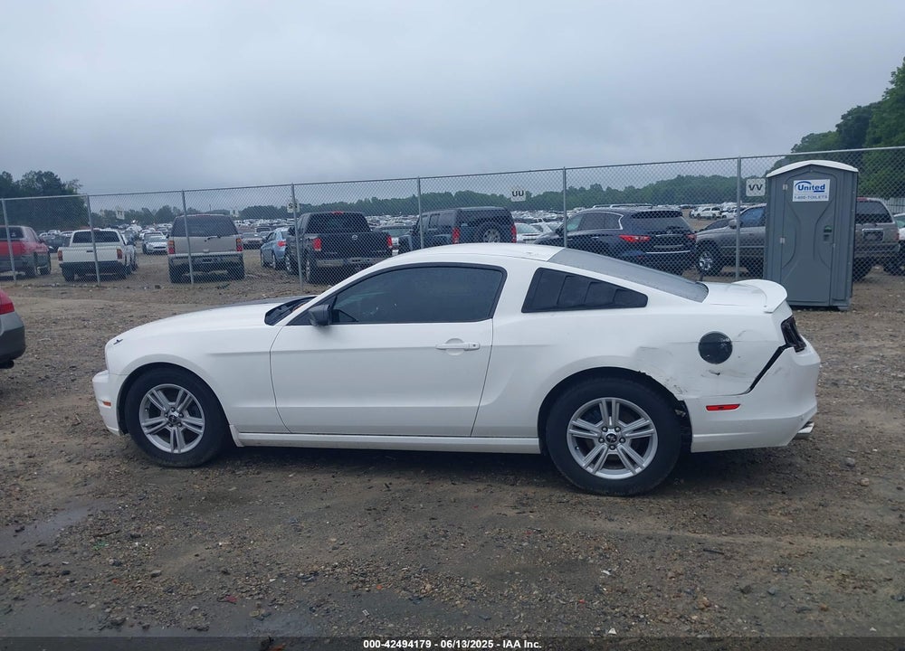 2013 FORD MUSTANG V6 VIN: 1ZVBP8AM8D5242951