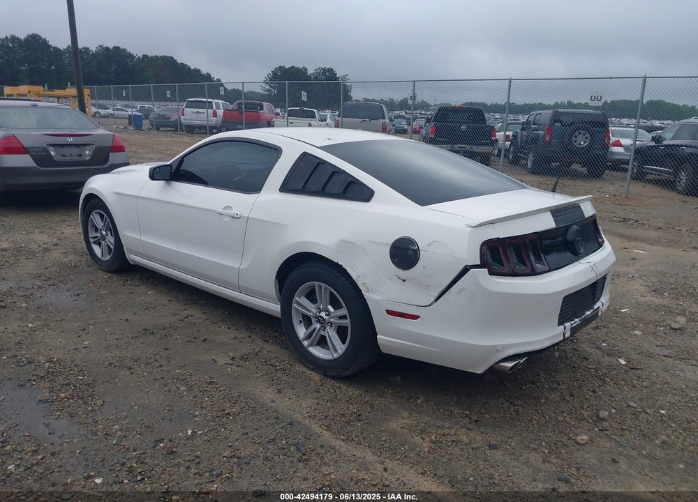 2013 FORD MUSTANG V6 VIN: 1ZVBP8AM8D5242951