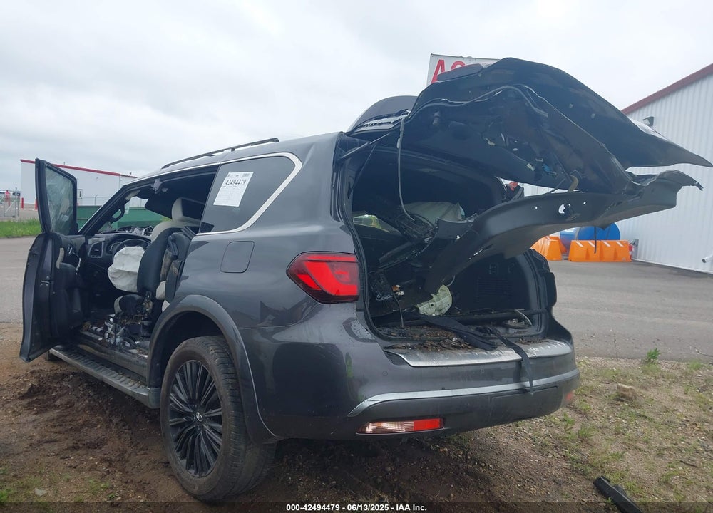 2019 INFINITI QX80 VIN: JN8AZ2NE9K9227586