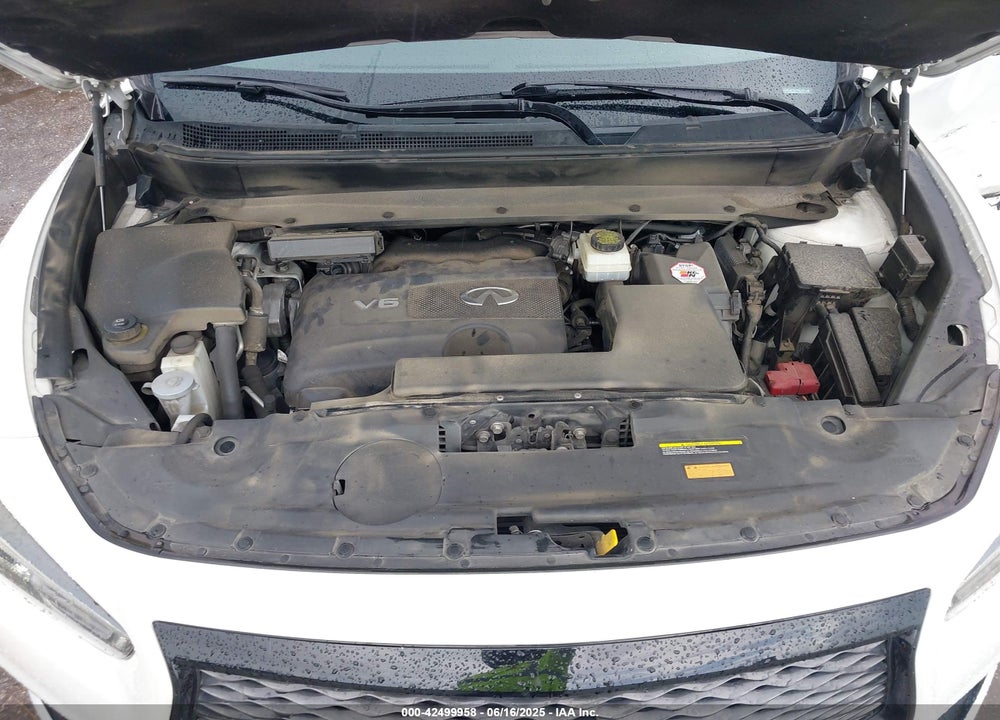 2020 INFINITI QX60 VIN: 5N1DL0MN6LC523391