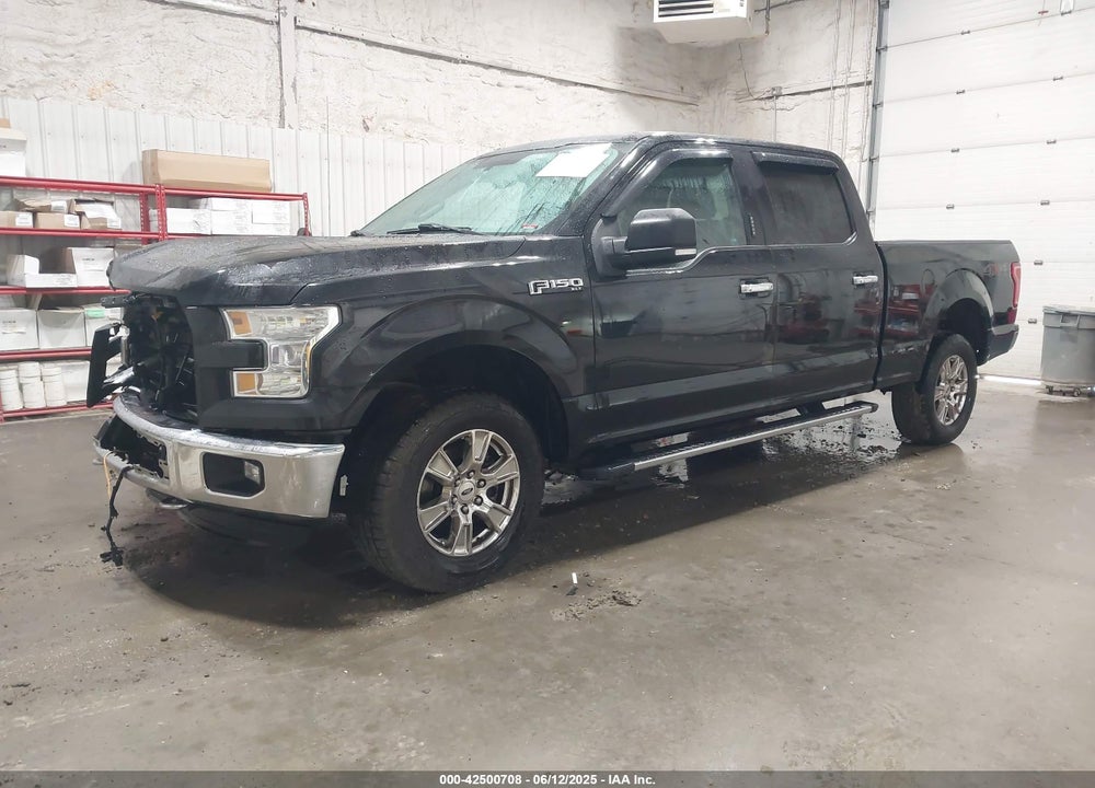 2015 FORD F-150 XLT VIN: 1FTFW1EF5FFB00242