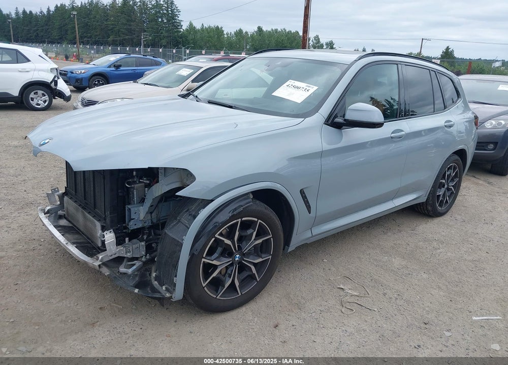 2023 BMW X3 XDRIVE30I VIN: 5UX53DP01P9R88162