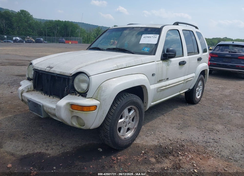 2002 JEEP LIBERTY LIMITED EDITION VIN: 1J8GL58K22W302844