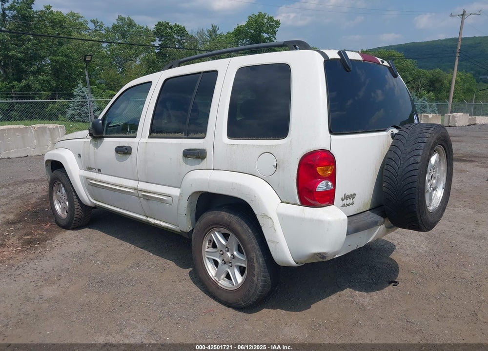 2002 JEEP LIBERTY LIMITED EDITION VIN: 1J8GL58K22W302844