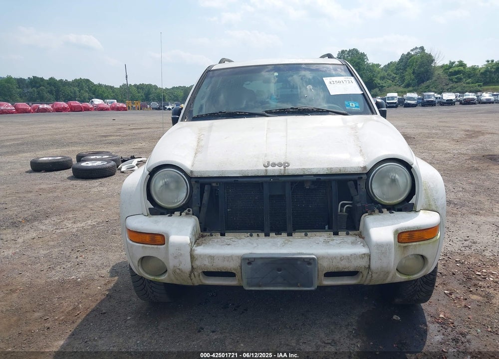 2002 JEEP LIBERTY LIMITED EDITION VIN: 1J8GL58K22W302844