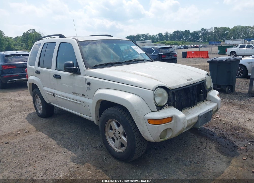 2002 JEEP LIBERTY LIMITED EDITION VIN: 1J8GL58K22W302844