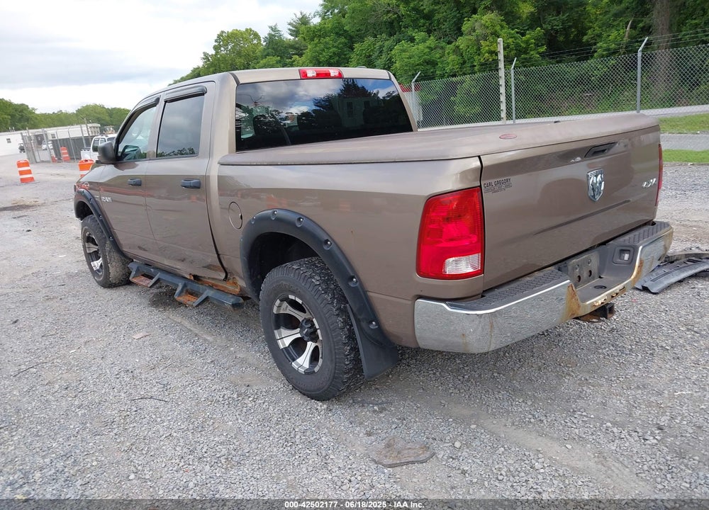 2010 DODGE RAM 1500 VIN: 1D7RV1CT0AS217225