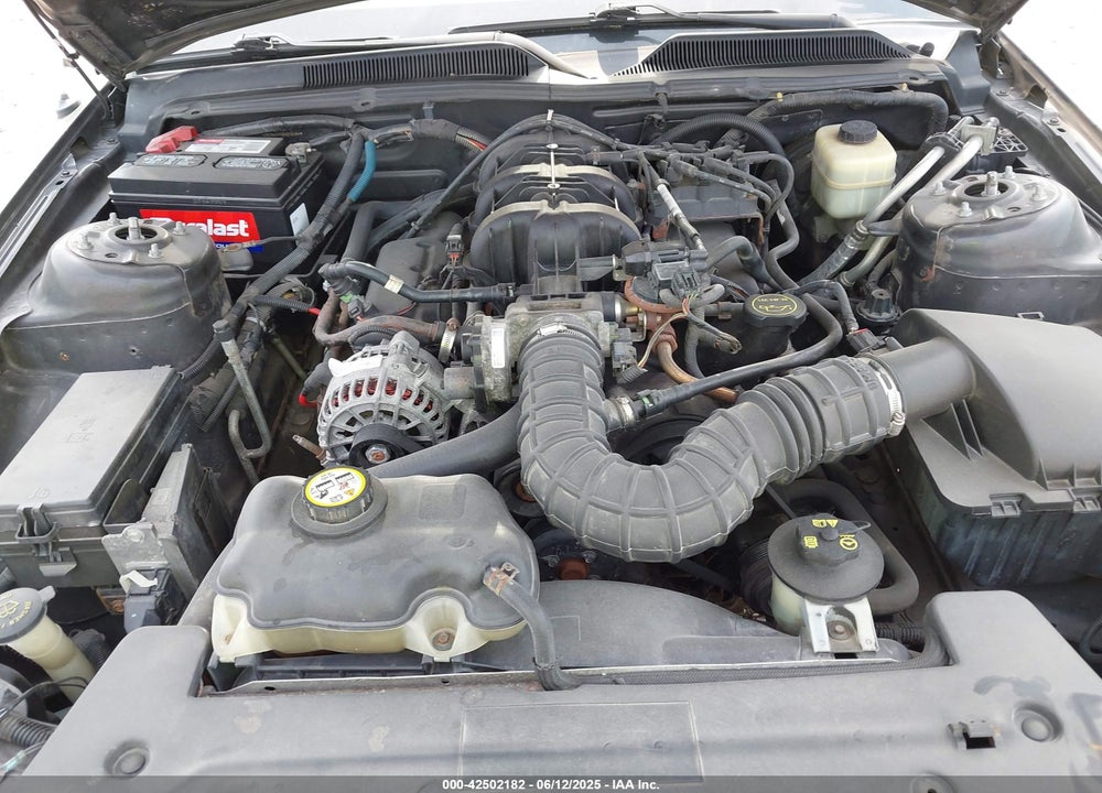 2008 FORD MUSTANG V6 DELUXE/V6 PREMIUM VIN: 1ZVHT80N485109173