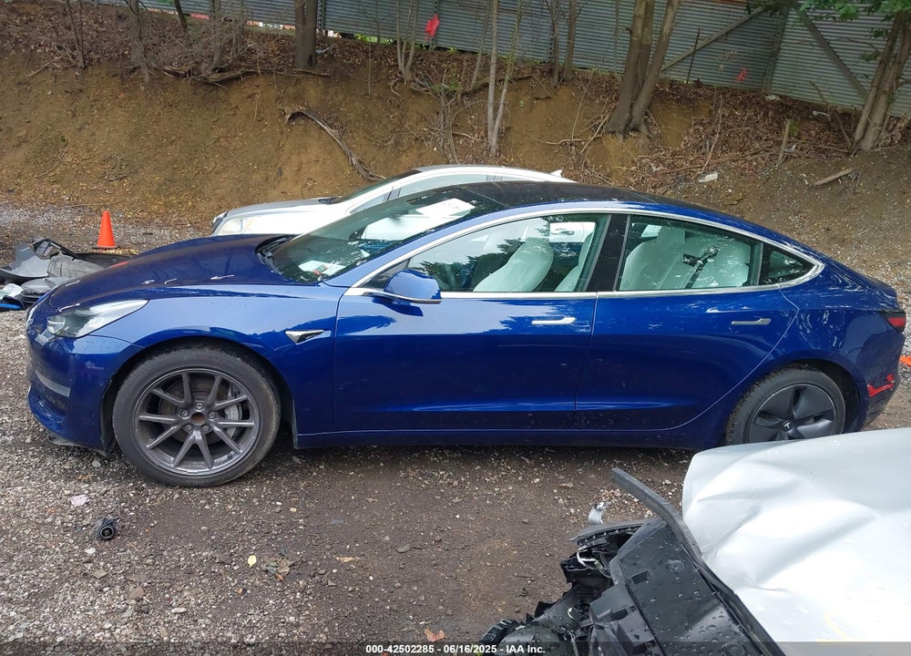 2019 TESLA MODEL 3 VIN: 5YJ3E1EA6KF323690
