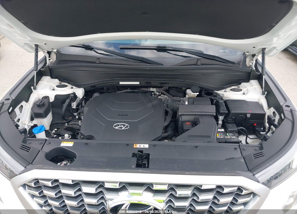 2020 HYUNDAI PALISADE VIN: KM8R24HE5LU113878