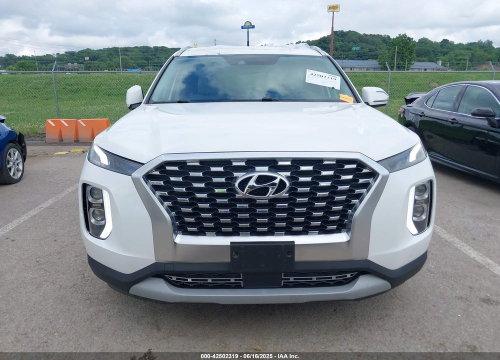 2020 HYUNDAI PALISADE VIN: KM8R24HE5LU113878