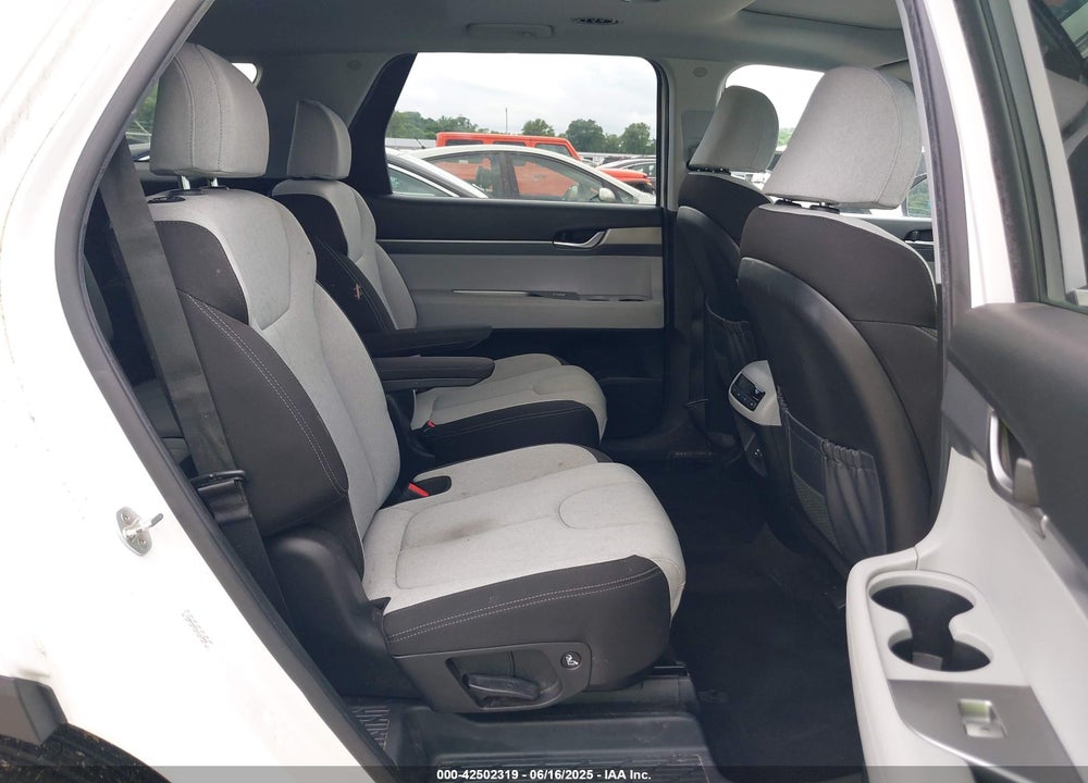 2020 HYUNDAI PALISADE VIN: KM8R24HE5LU113878