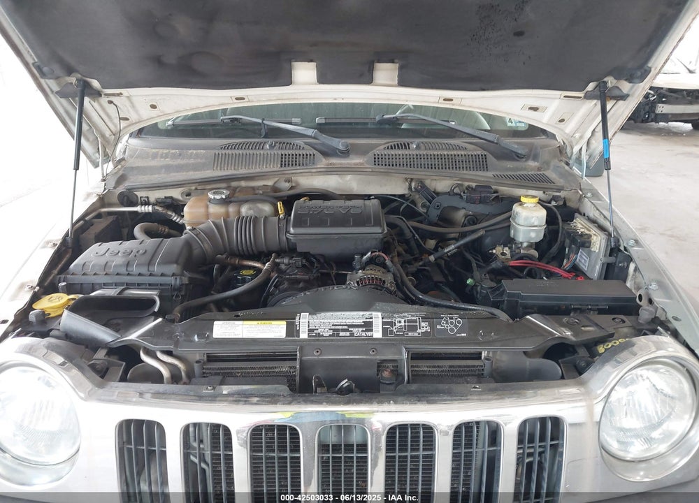 2003 JEEP LIBERTY SPORT VIN: 1J4GL48K13W541394