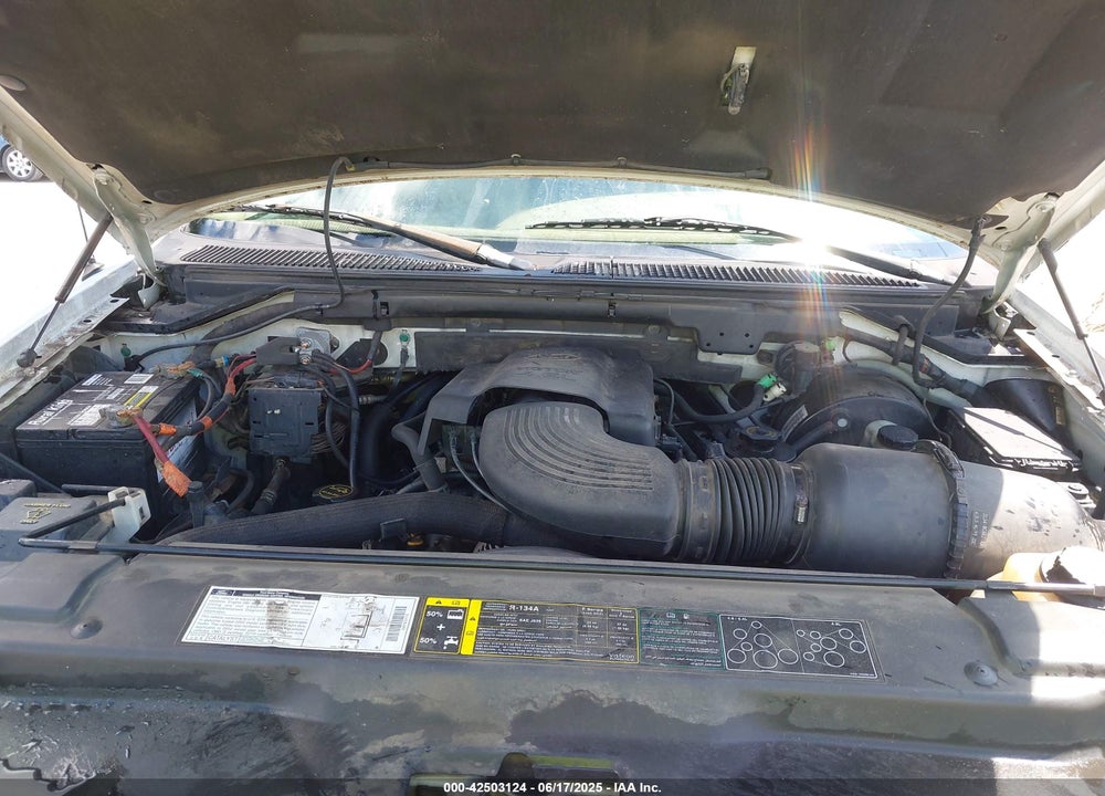 2002 FORD F-150 LARIAT/XLT VIN: 1FTRW076X2KD36097