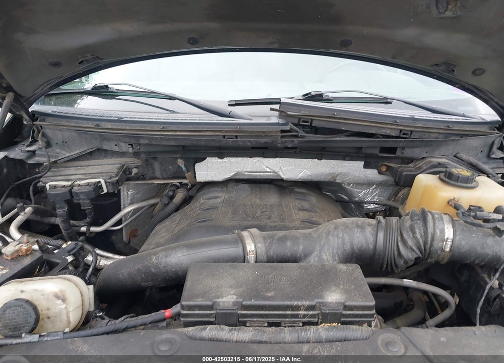 2013 FORD F-150 VIN: 1FTFW1ET0DFB16965