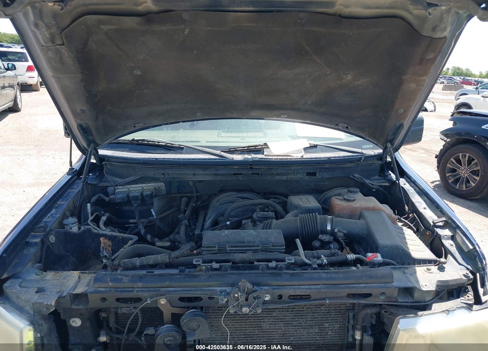 2010 FORD F-150 VIN: 1FTEW1C83AKA49243