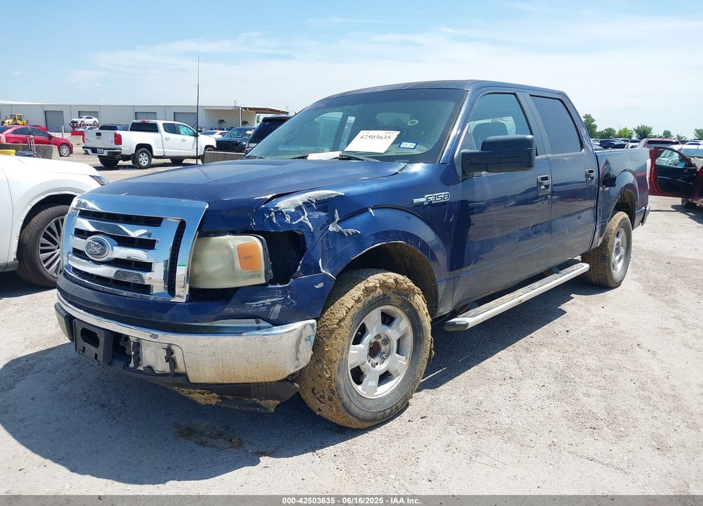 2010 FORD F-150 VIN: 1FTEW1C83AKA49243