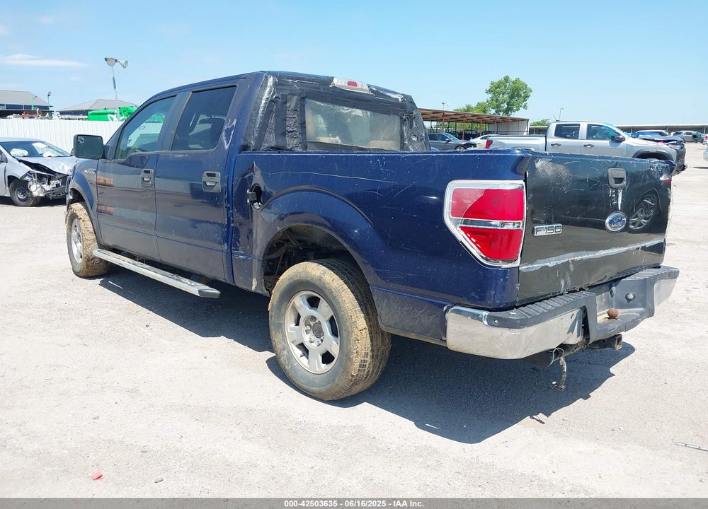 2010 FORD F-150 VIN: 1FTEW1C83AKA49243