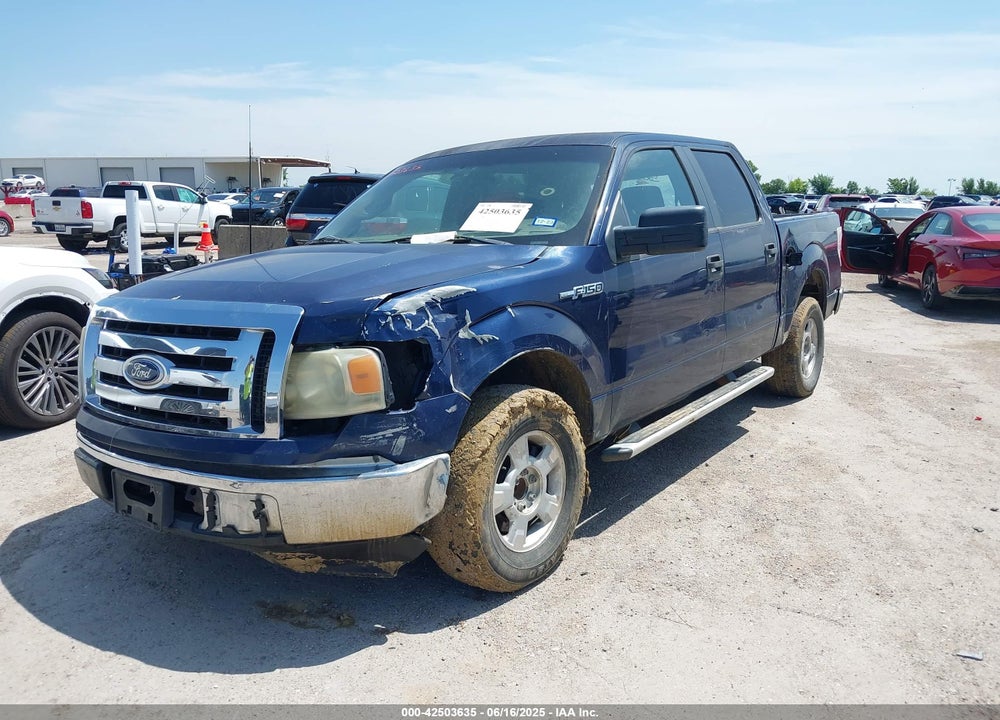 2010 FORD F-150 VIN: 1FTEW1C83AKA49243