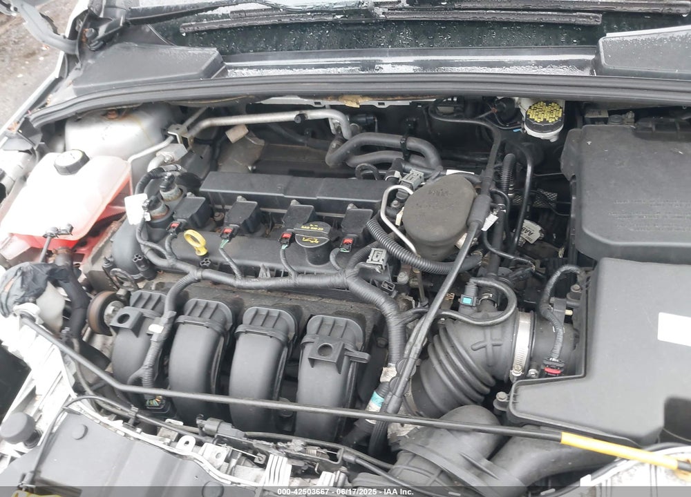 2013 FORD FOCUS VIN: 1FADP3J26DL111032
