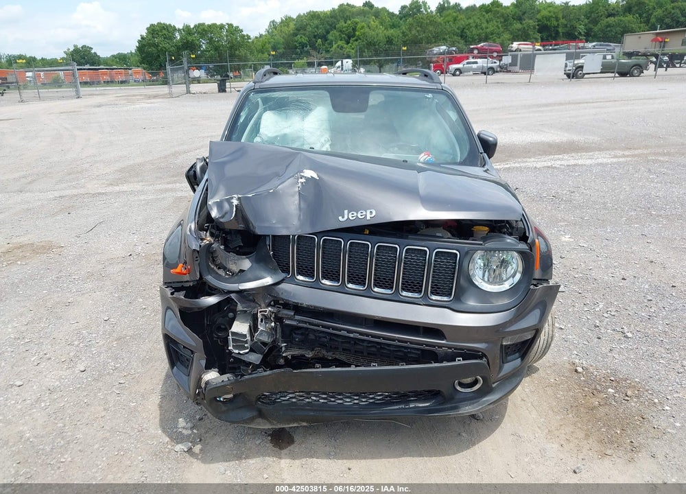 2019 JEEP RENEGADE VIN: ZACNJBBB3KPK07991