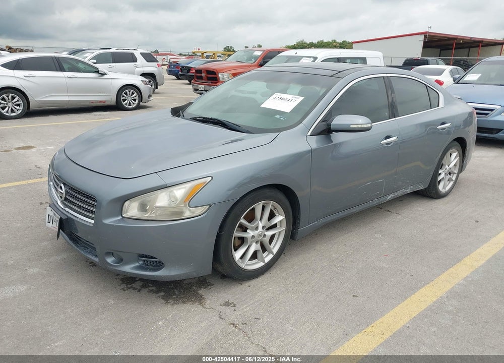 2010 NISSAN MAXIMA VIN: 1N4AA5APXAC844742