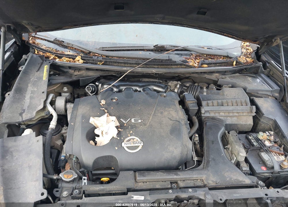 2013 NISSAN MAXIMA VIN: 1N4AA5AP8DC825224
