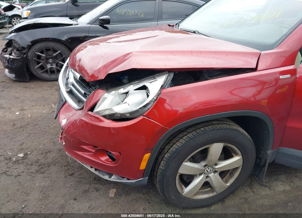 2010 VOLKSWAGEN TIGUAN VIN: WVGBV7AX7AW003941